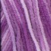 imageRED HEART E3000886 Super Saver Yarn BluePrint  Purple Tones