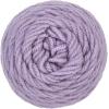 imageRED HEART E3000886 Super Saver Yarn BlueSolid  Pale Plum