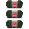 imageRED HEART E7289388 Heart Soft Yarn WheatDark Leaf