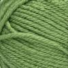imageRED HEART E7289388 Heart Soft Yarn WheatGuacamole
