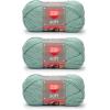 imageRED HEART E7289388 Heart Soft Yarn WheatSeafoam