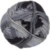 imageRED HEART RED HEART Soft Yarn CoralGreyscale