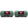 imageRED HEART Super Saver Yarn  Light SageSolid  Light Sage