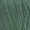 imageRED HEART Super Saver Yarn  Light SageSolid  Light Sage