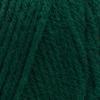 imageRED HEART Super Saver Yarn Minty E3000520Hunter Green