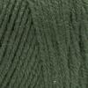 imageRED HEART Super Saver Yarn Minty E3000520Medium Thyme