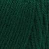 imageRED HEART Super Saver Yarn PumpkinPaddy Green