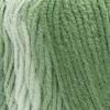imageRed Heart E3054923 Ombre Yarn HickoryGreen Apple Ombre