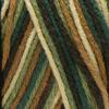 imageRed Heart Super Saver Yarn  PoolPrint  Woodsy