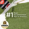 imageRed Heart Super Saver Yarn 312 BlackSpring Green
