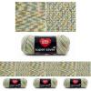 imageRED HEART Super Saver Yarn  Aspen4 Pack