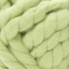 imageRED HEART Irresistible E8487110 Yarn AranChartreuse