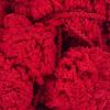 imageRED HEART PompADoodle yarn MeadowRed Hot