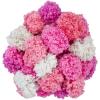 imageRED HEART PompADoodle yarn MeadowSherbert