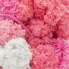 imageRED HEART PompADoodle yarn MeadowSherbert
