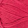 imageRED HEART Scrubby Smoothie Tan YarnCoral