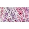 imageRED HEART Scrubby Yarn GlacierBlossom