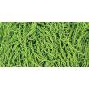 imageRED HEART Scrubby Yarn GlacierLime