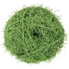 imageRED HEART Scrubby Yarn GlacierLime