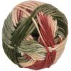 imageRED HEART Soft Yarn SeaglassGarden