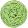 imageRED HEART 61453 Classic Yarn MaizeLime