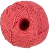 imageRED HEART Bunches of Hugs Castle YarnShrimp