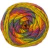 imageRED HEART Colorscape Yarn ShanghaiRome