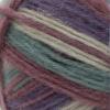 imageRED HEART Dreamy Yarn RoseMountain Top