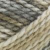 imageRED HEART Hopscotch Yarn WaterslideSomersault