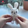 imageRed Heart Amigurumi Colin The Chick KitPopcorn the Bunny