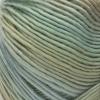 imageRed Heart Boutique Unforgettable Yarn 3 Pack Meadow 3 CountMeadow