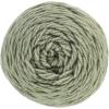 imageRed Heart Super Saver Jumbo Orchid Yarn  2 Pack of 396g14oz  Acrylic  4 Medium Worsted  744 Yards  KnittingCrochetFrosty Green