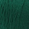 imageRed Heart Super Saver Jumbo Orchid Yarn  2 Pack of 396g14oz  Acrylic  4 Medium Worsted  744 Yards  KnittingCrochetPaddy Green