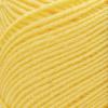 imageSuper Saver Yarn Light Sage Acrylic  1Lemon