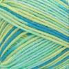 imageSuper Saver Yarn Light Sage Acrylic  1Mints Print