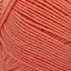 imageSuper Saver Yarn Light Sage Acrylic  1Papaya