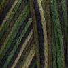 imageSuper Saver Yarn Light Sage Acrylic  1Print  Camouflage