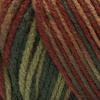 imageSuper Saver Yarn Light Sage Acrylic  1Print  Fall