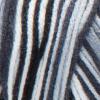 imageSuper Saver Yarn Light Sage Acrylic  1Print  Zebra