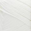 imageSuper Saver Yarn Light Sage Acrylic  1Shimmers White Opal