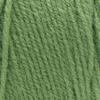 imageSuper Saver Yarn Light Sage Acrylic  1Solid  Tea Leaf