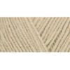 imageSuper Saver Yarn Light Sage Acrylic  1Tan