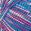 imageSuper Saver Yarn Light Sage Acrylic  1White Turq Violet