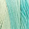 imageRed Heart Super Saver Jumbo Seaside Ombre Yarn  2 Pack of 283g10oz  Acrylic  4 Medium Worsted  482 Yards  KnittingCrochet2 Pack